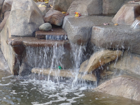 Swimming Pool Builder Vacaville Swimming Pool Builder Vacaville